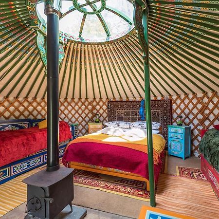 Pembrokeshire Yurts - Badger Hotel Llanfyrnach Exterior photo