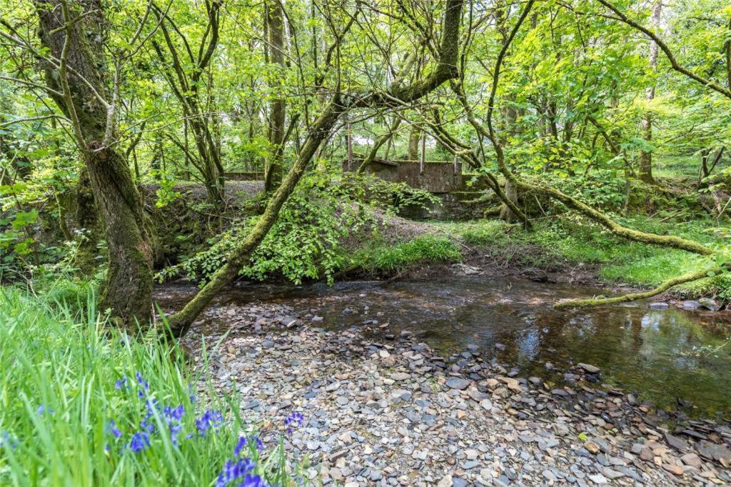 Pembrokeshire Yurts - Badger Hotel Llanfyrnach Exterior photo